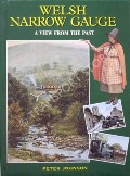 Book cover of Welsh Narrow Gauge - A View from the Past by JOHNSON, Peter